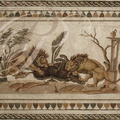 EL JEM - mosaïque (IIe siècle) de la maison de la procession dyonisiaque : lions dévorant un sanglier