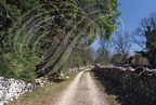 Causse de GRAMAT - sud de REILHAC : chemin typique du causse avec ses murets en pierres