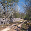 Causse de GRAMAT - sud de REILHAC : chemin typique du causse avec ses murets en pierres