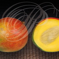 MANGUE DU PÉROU (Mangifera indica) : fruit entier et coupe