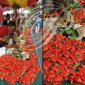 BEAULIEU-SUR-DORDOGNE - fête de la fraise : le marché des producteurs
