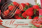 FRAISES variété MAGNUM (Beaulieu-sur-Dordogne - 19 - Fête de la fraise)