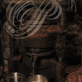 MARTEL - Moulin à l'huile noix : récolte de l'huile