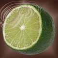 CITRON VERT ou LIME (Citrus aurantifolia)