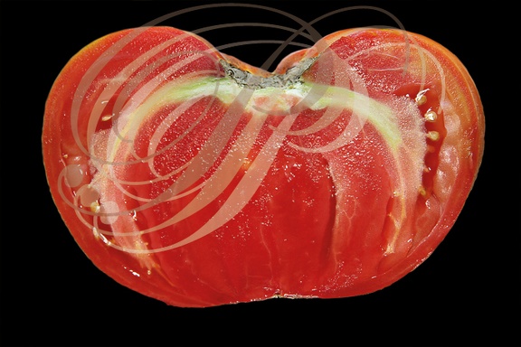 TOMATES (Solanum lycopersicum) : coupe