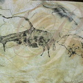 BRUNIQUEL - Fac similé des bisons paléolithiques peints dans la grotte de Mayrière (20 000 ans) - découverte de mars 1992