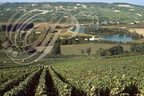 BOURSAULT - la vallée de la Marne et les vignobles