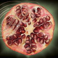 GRENADIER (Punica granatum) - coupe du fruit