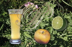 Boisson au GÉRANIUM ROSAT avec de la pomme et du Citron vert par LE BAR À PLANTES à Marcilhac-sur-Célé (46)