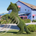 SAINT-SYLVESTRE-SUR-LOT - Château hôtel restaurant LE STELSIA - le parc (topiaire : le cheval)  