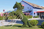 SAINT-SYLVESTRE-SUR-LOT - Château hôtel restaurant LE STELSIA - le parc (topiaire : le cheval)  