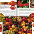 GOURMANDISES ETE 2017 p24 25 la tomate