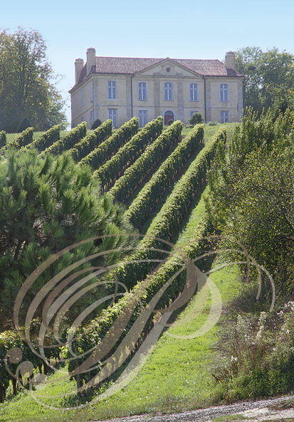 VIELLA - Château Viella : le château dominant les vignes