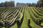 VIELLA - Château Viella : le château dominant les vignes