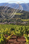 CAMPAGNE-SUR-AUDE et vignes Salasar - au fond : les Pyrénées