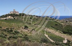 COLLIOURE - Le Fort Saint-Elme dominant les vignobles en terrasse descendant vers Port-Vendres