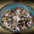 HUITRES DE SAINT VAAST pochées au Saké sur une crème de TRUFFES noires