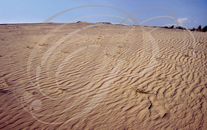 KISKUNSAG (Hongrie) : dunes de sable de Fülöpháza