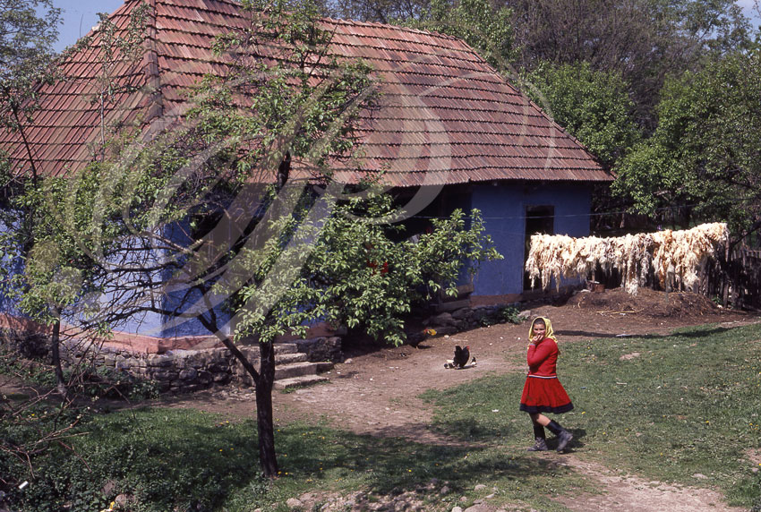 CERTEZE (Oas - Transylvanie) - maison bleue