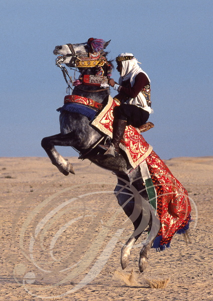 DOUZ - Festival du Sahara