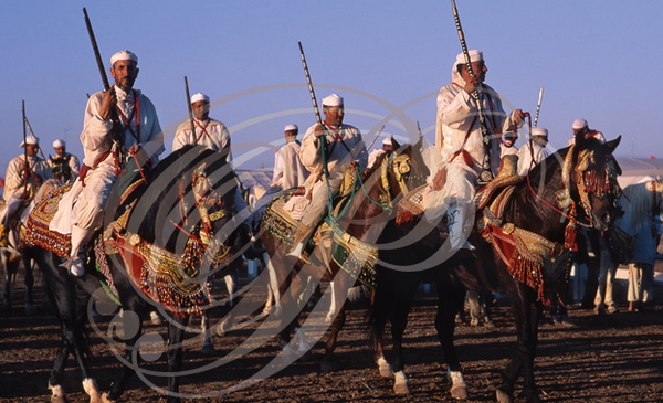 FANTASIA (Maroc) - les cavaliers avant la charge 