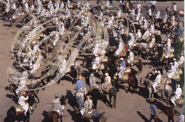 FANTASIA (Maroc) - les cavaliers rassemblés avant la charge (Mouloud de Meknès)  