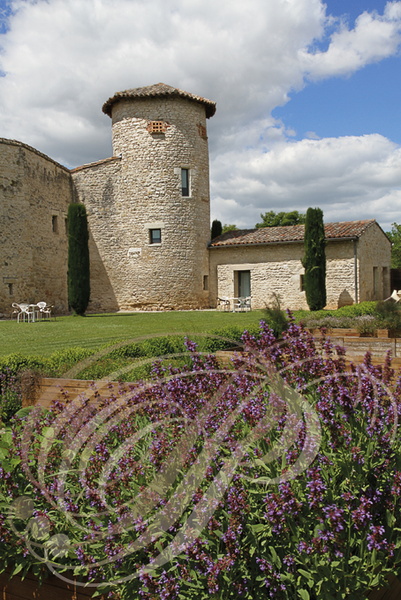 CAHUZAC-SUR-VÈRE - Château de Salettes  vu depuis le jardins d herbes du potager sauge officinale