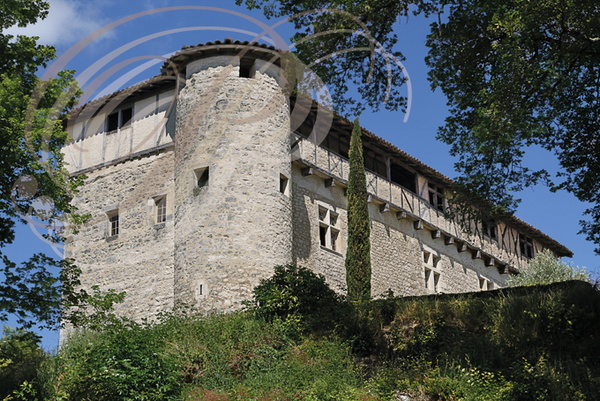 CASTELNAU-DE-MONTMIRAL - Château de MAYRAGUES  ( XIIe - XVIIe siècles)  : façades ouest et sud