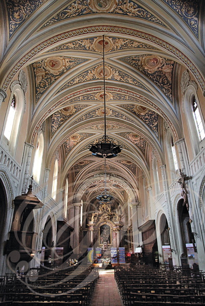 LAUTREC - collégiale Saint-Rémy : la nef et la voûte peinte