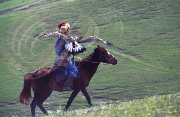 KAZAKSTAN__ouest_d_Almaty_burtkishi_aiglier_portant_pour_la_chasse.jpg