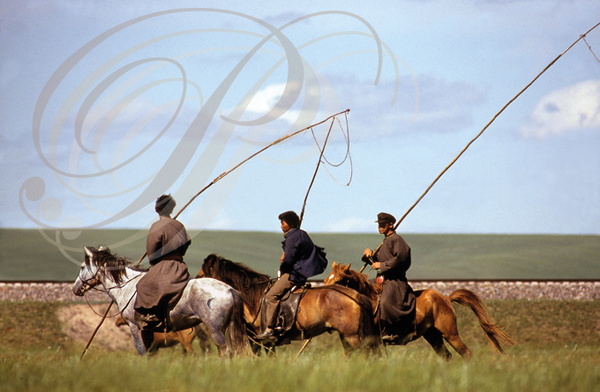 CHINE (MONGOLIE INTÉRIEURE) - cavaliers et leur "uurga" (ou"ourga") : perches pour capturer les chevaux