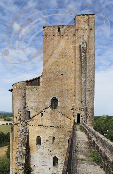 TERMES-D'ARMAGNAC - le château : donjon du XIIIe siècle 