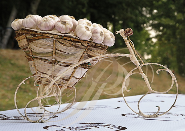 LAUTREC - fête de l'ail rose : concours de compostions artistiques (le tricycle)