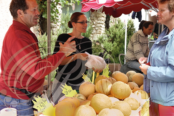 LAUTREC - fête du pain et du goût : marché des producteurs (melons Galia de l'Albarède - 81)