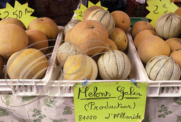 LAUTREC - fête du pain et du goût : marché des producteurs (melons Galia de l'Albarède - 81)