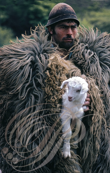 ROUMANIE - Monts Fagaras : berger en costume traditionnelle