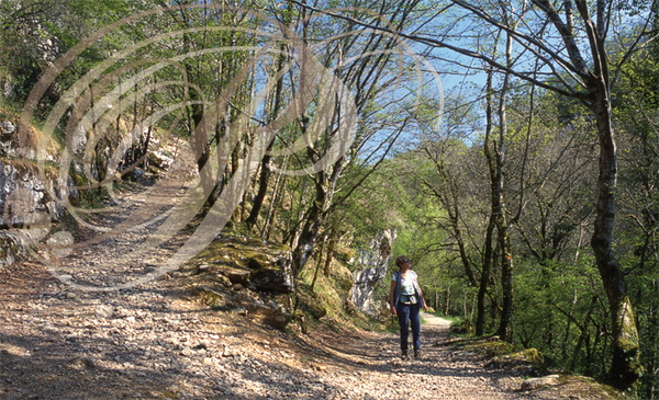 Vallée de l'ALZOU (Est de Rocamadour)