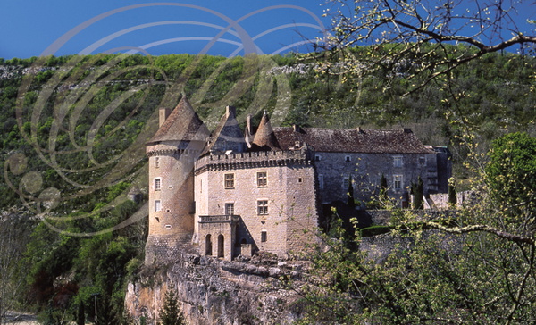 CABRERETS_France_46_le_chateau_vallee_du_Cele.jpg