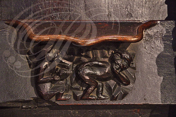 VILLEFRANCHE-DE-ROUERGUE - Collégiale Notre-Dame : stalles exécutées par le huchier André Sulpice au XVe siècle (une miséricorde représentant le lavement)