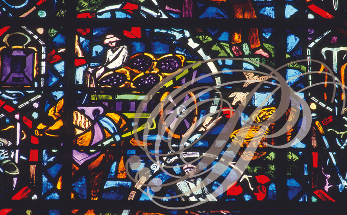 REIMS - cathédrale : vitraux illustrant la culture du CHAMPAGNE (retour des vendanges)