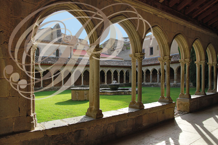 Abbaye de SAINT-HILAIRE - le cloiîre du XIVe siècle