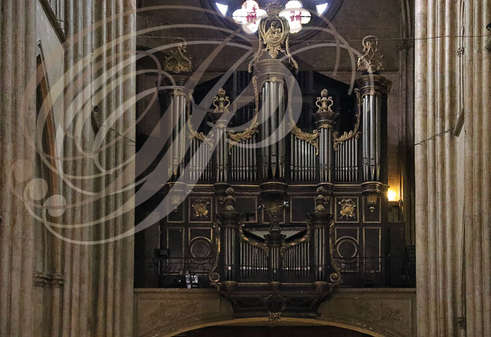 BAYONNE_Cathedrale_Sainte_Marie_Buffet_d_orgues.jpg